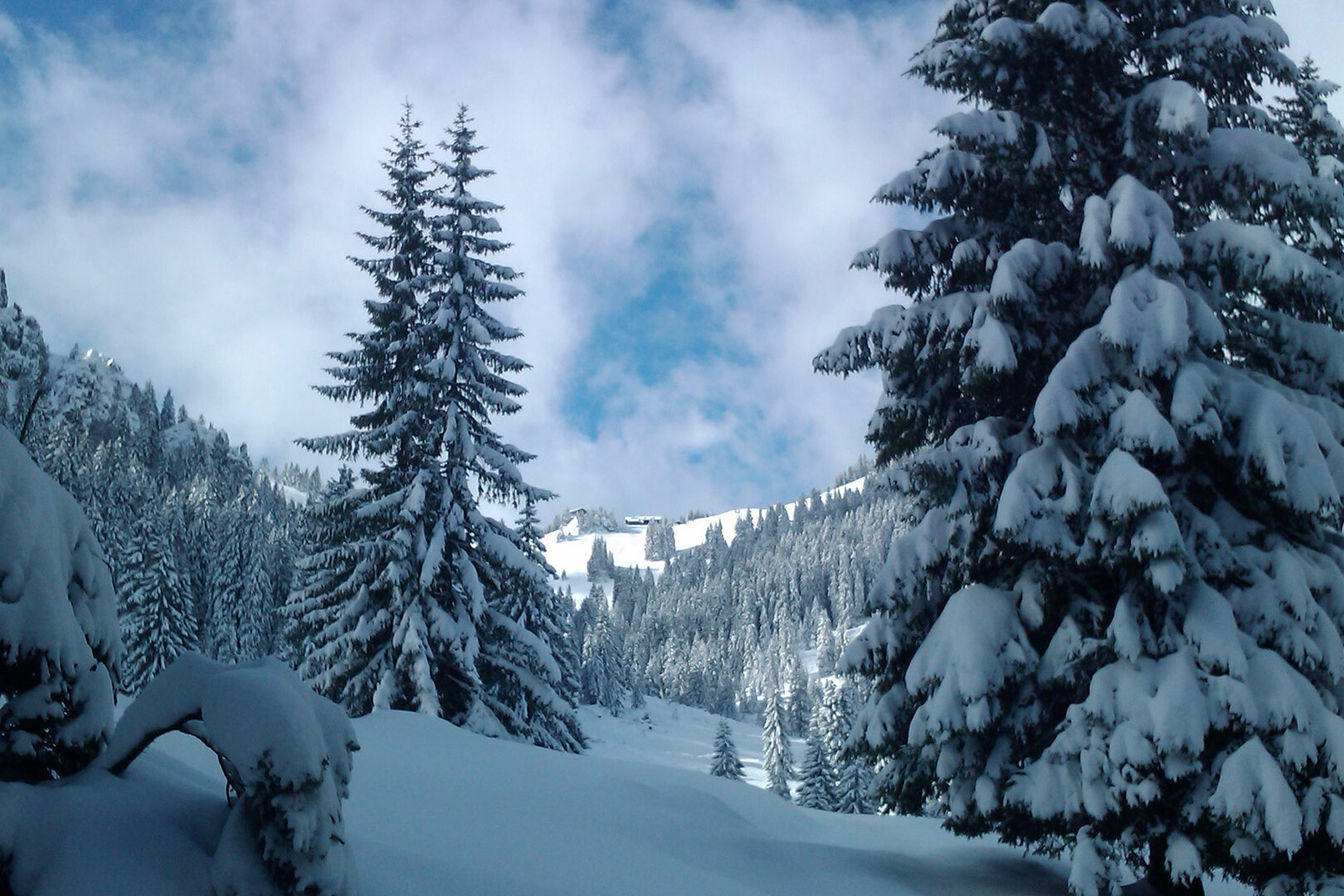 Winter in Berghof Walser